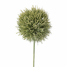 Load image into Gallery viewer, Allium Artificial Stem, Green