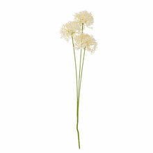 Load image into Gallery viewer, Allium Artificial Stem, White