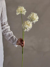 Load image into Gallery viewer, Allium Artificial Stem, White