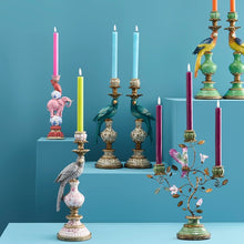 Load image into Gallery viewer, Amari Parrot Candle Holder in Collection