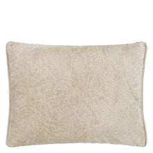 Load image into Gallery viewer, Designers Guild Cartouche Linen Velvet Cushion Front