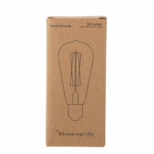 Edison LED Clear Glass Bulb