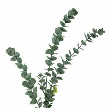 Load image into Gallery viewer, Eucalyptus_Artificial_Branch_Green_Detail