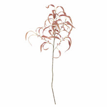 Load image into Gallery viewer, Eucalyptus Artificial Stem, Red