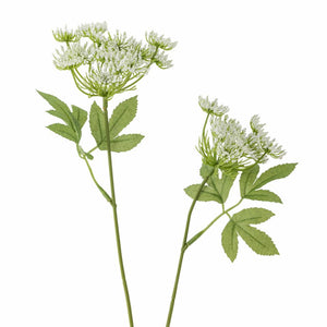 Fennel_Artificial_Stem_White_Details