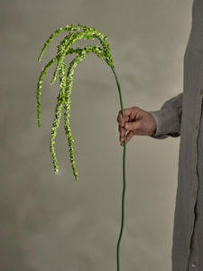 Foxtail_Artificial_Stem_Green Held_in_Hand