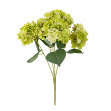 Load image into Gallery viewer, Hydrangea_Artificial_Multi_Stem_Light_Green