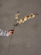 Indlæs billede til gallerivisning Larkspur Artificial Stem, Nature