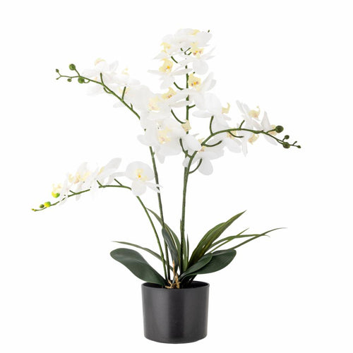 White Orchid Artificial Plant in black container