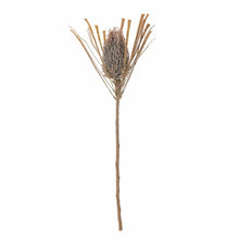 Load image into Gallery viewer, Palmflower Artificial Stem, Brown