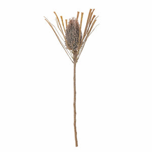 Palmflower Artificial Stem, Brown