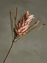 Indlæs billede til gallerivisning Palmflower Artificial Stem, Rose