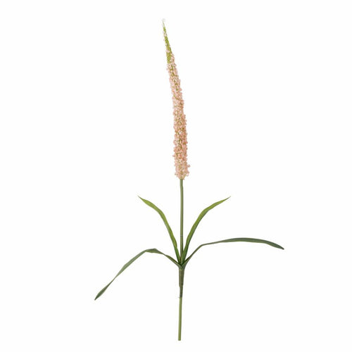 Foxtail Artificial Stem, Rose